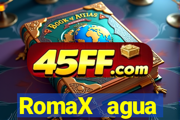 RomaX agua sanitaria fispq agua sanitaria romax